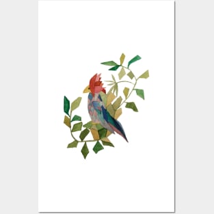Tropical bird Posters and Art